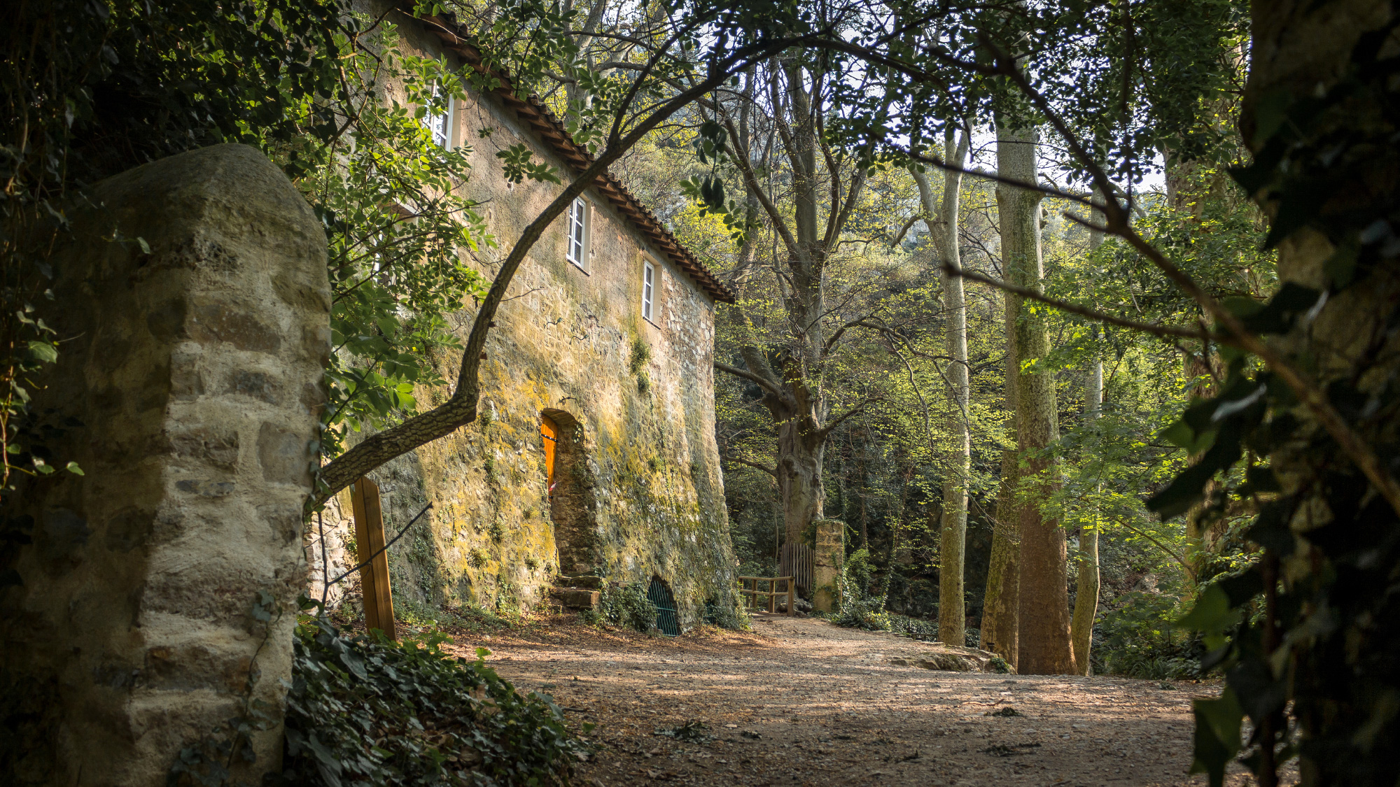 Le vieux moulin du parc de St Pons
