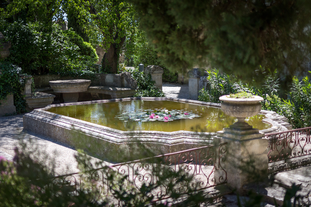 L'un bassin des jardins de l'abbaye st André et ses nénuphars - Villeneuve-les-Avignon